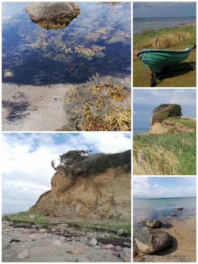 My Home Spodsbjerg ภายนอก รูปภาพ